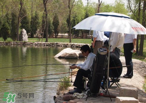 立夏好釣魚嗎？立夏怎么釣魚？