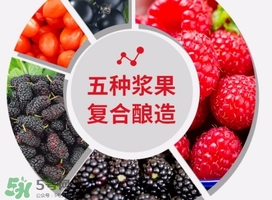 樹莓可以泡酒嗎？樹莓怎么泡酒？