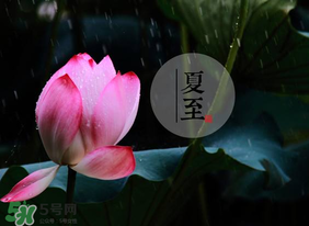 立夏和夏至有什么區別？立夏和夏至的區別