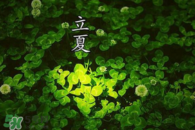 立夏和夏至有什么區別？立夏和夏至的區別