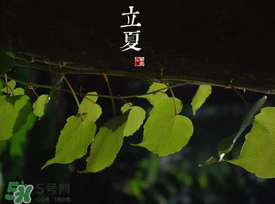 2017年立夏會下雨嗎？2017年立夏下雨好嗎？