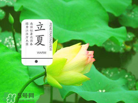2017年立夏會下雨嗎？2017年立夏下雨好嗎？