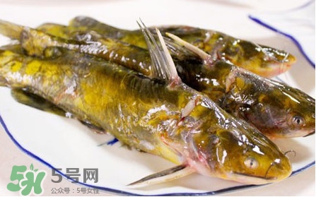 嘎魚怎么做最好吃？嘎魚的做法大全