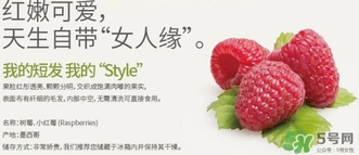 樹莓可以放冰箱嗎？樹莓可以保存幾天