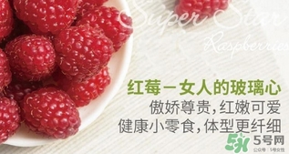 樹(shù)莓可以放冰箱嗎？樹(shù)莓可以保存幾天