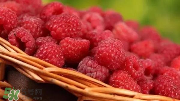 樹莓可以直接吃嗎？樹莓里的小籽能吃嗎？