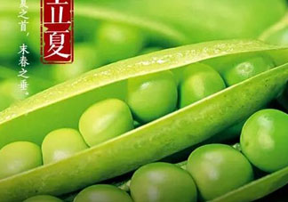 立夏吃什么好？立夏吃什么蔬菜？