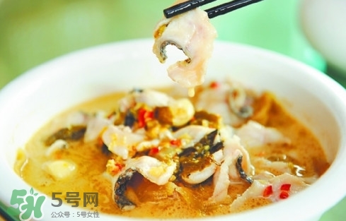 黑魚是發(fā)物嗎？黑魚是不是發(fā)物