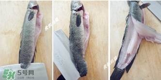 黑魚怎么切片？黑魚如何切魚片