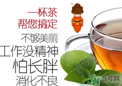 脂流茶成分 脂流茶可以減肥嗎？