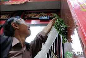 端午節為什么掛艾草？端午節掛艾草的由來
