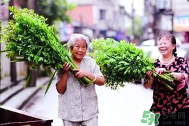 端午節為什么掛艾草？端午節掛艾草的由來