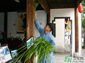 端午節(jié)門上掛的那個草叫什么？端午節(jié)掛門上的叫什么？