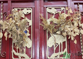 端午節(jié)門上掛的那個草叫什么？端午節(jié)掛門上的叫什么？