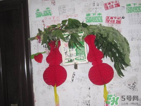 端午節(jié)門上掛的那個草叫什么？端午節(jié)掛門上的叫什么？