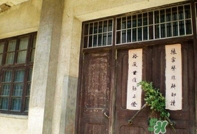 端午節(jié)插門上的是什么？端午節(jié)為什么要插艾草？