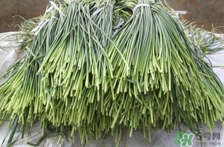 蒜薹跟什么相克？蒜薹不能和什么一起吃