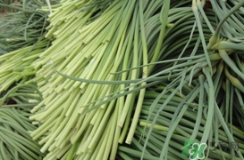 蒜薹怎么摘？蒜薹怎么擇？