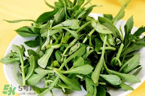 養心菜能生吃嗎？養心菜怎么吃？