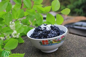 烏飯用什么葉子煮？烏飯用什么葉子圖片？