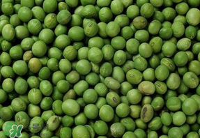 青豆可以打豆漿嗎？青豆能做豆漿嗎？
