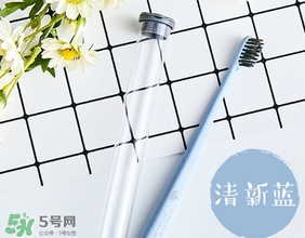 amortals爾木萄牙刷怎么樣？amortals爾木萄牙刷多少錢？