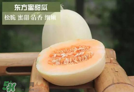 甜瓜可以帶上飛機嗎？坐飛機可以帶香瓜嗎？
