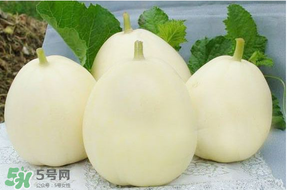 甜瓜可以帶上飛機嗎？坐飛機可以帶香瓜嗎？