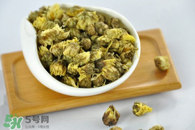 立夏喝菊花好嗎？立夏能吃苦菊嗎？