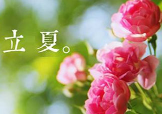 立夏開什么花？立夏有什么花？