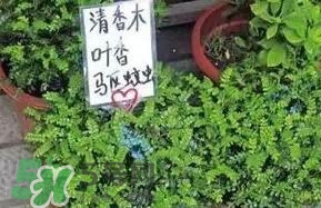 寶寶驅蚊產品哪個好？寶寶驅蚊用什么好？