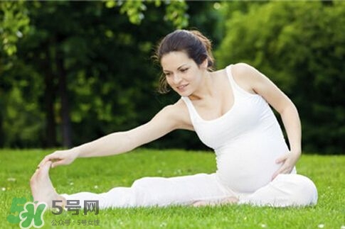 孕婦能做平板支撐嗎？孕婦能做哪些運動？