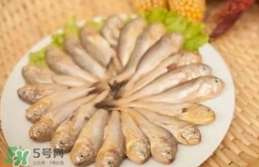 黃唇魚是黃花魚嗎？黃唇魚是黃魚嗎？