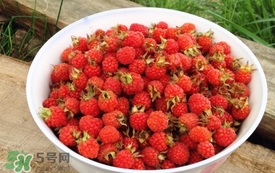 山莓是覆盆子嗎？山莓和覆盆子的區別