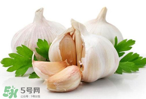 蒜頭能放冰箱嗎？蒜頭能放多久？