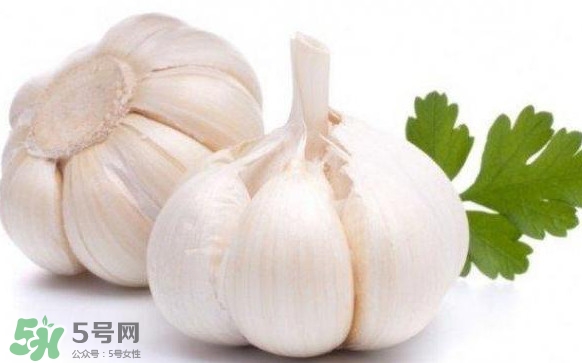 蒜頭發芽能吃嗎？蒜頭發芽可以吃嗎？
