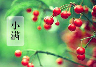 小滿是什么節氣？小滿是第幾個節氣？
