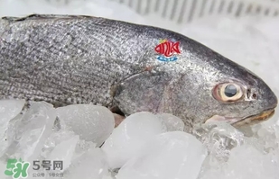 黃唇魚是黃花魚嗎？黃唇魚是黃魚嗎？