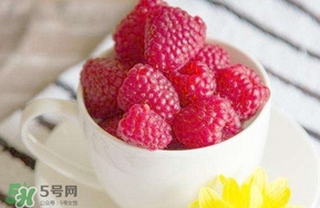 覆盆子是什么？覆盆子是樹莓嗎