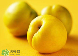 油桃和芒果可以一起吃嗎？芒果和油桃能一起吃嗎？