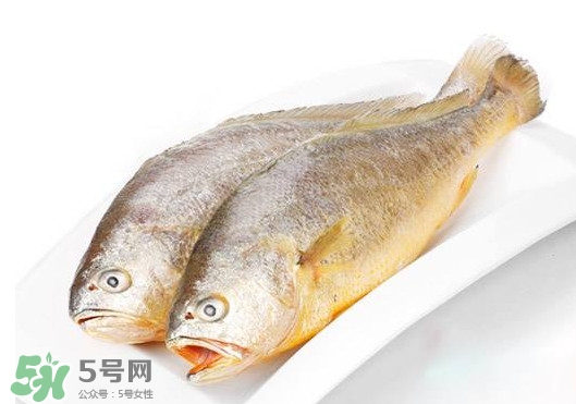 黃唇魚是不是黃花魚？黃唇魚和黃花魚的區別