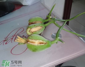 香瓜裂口怎么回事？香瓜裂了怎么辦？