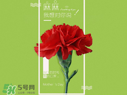 2017年母親節(jié)會(huì)打折嗎？2017年母親節(jié)有什么優(yōu)惠活動(dòng)？