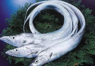 三文魚多少錢一斤2017？新鮮三文魚多少錢一條2017？
