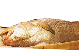 黃唇魚是不是黃花魚？黃唇魚和黃花魚的區別