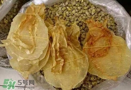 金錢鳘值多少錢？金錢鳘魚膠功效