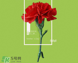 母親節送什么禮物給老婆？2017年母親節送老婆禮物推薦