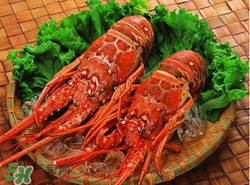 什么時候釣龍蝦最好？龍蝦幾月份能釣？