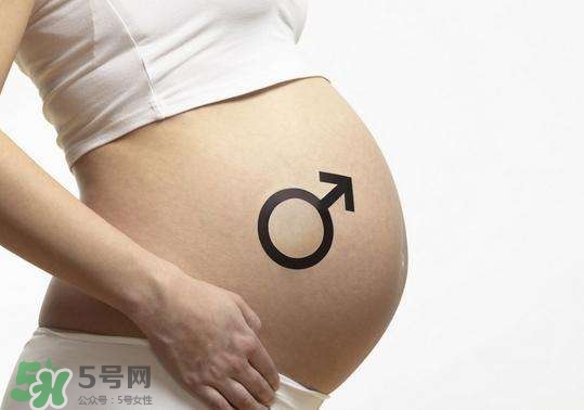 怎么問醫生胎兒性別？醫生會告訴胎兒性別嗎？