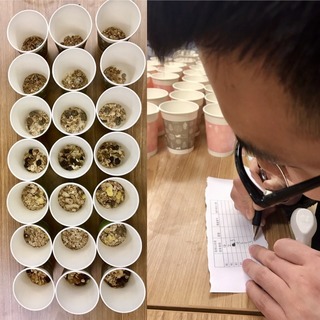麥片什么牌子好？進口麥片哪個牌子好吃